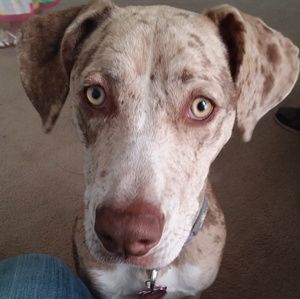 Meet your Posher, Christina